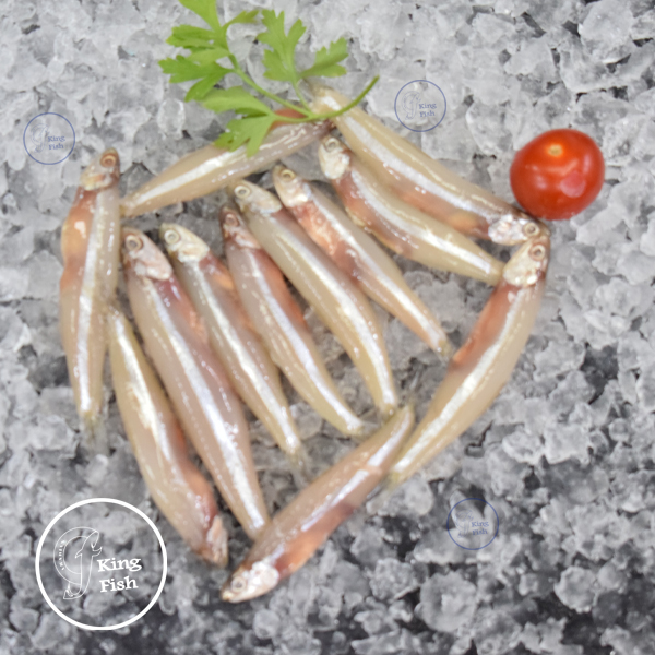 Fresh Small Anchovy India